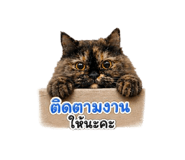 858357322