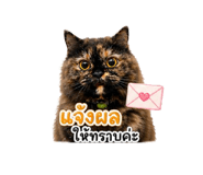858357323