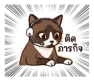 858357505