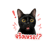 858358108