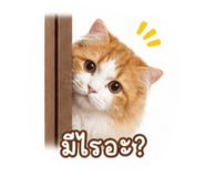 858358129