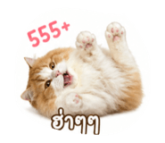 858358145