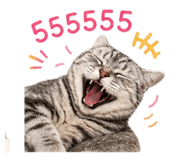 858358955