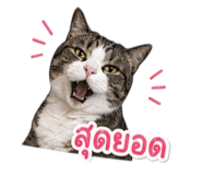 858360084