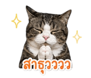 858360087