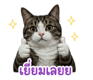 858360094