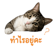 858360095