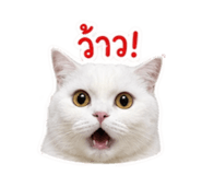 858361825