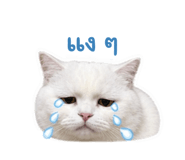 858361829
