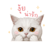858361834