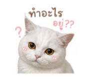 858361836