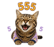 858361858