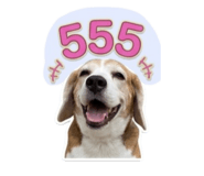 858363594