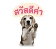 858363601
