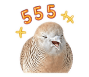 858363634