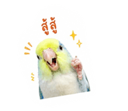 858365499