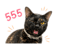 858365520