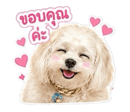 858365594