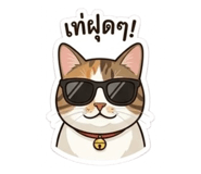 858365653