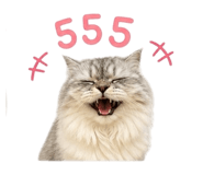 858367596