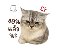 858367597