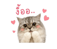 858367601