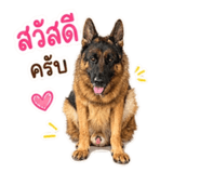 858367745
