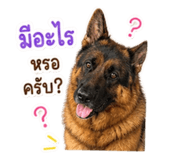 858367750