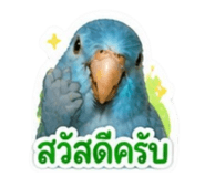 858367913