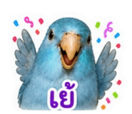 858367915