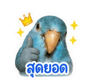 858367917