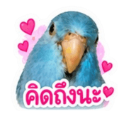 858367918