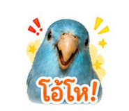 858367920