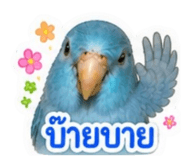 858367921