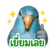 858367924