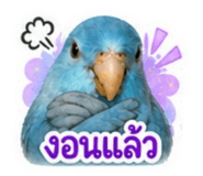 858367926