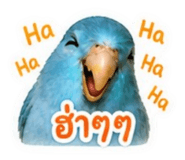 858367928