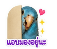 858367930