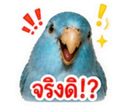 858367942