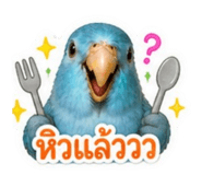 858367944