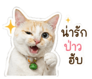 858368241