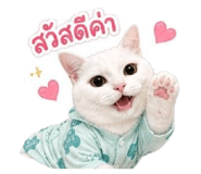 858368425