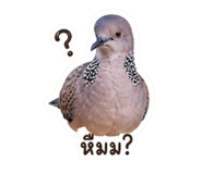 858368516
