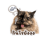 858368603