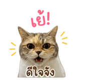 858368891