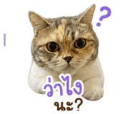 858368895