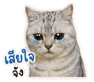 858368923