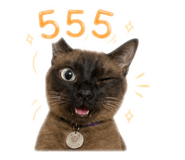 858370650