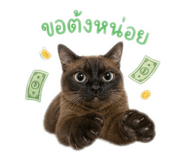 858370663