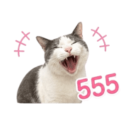 858370796